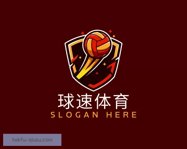 关于球速体育